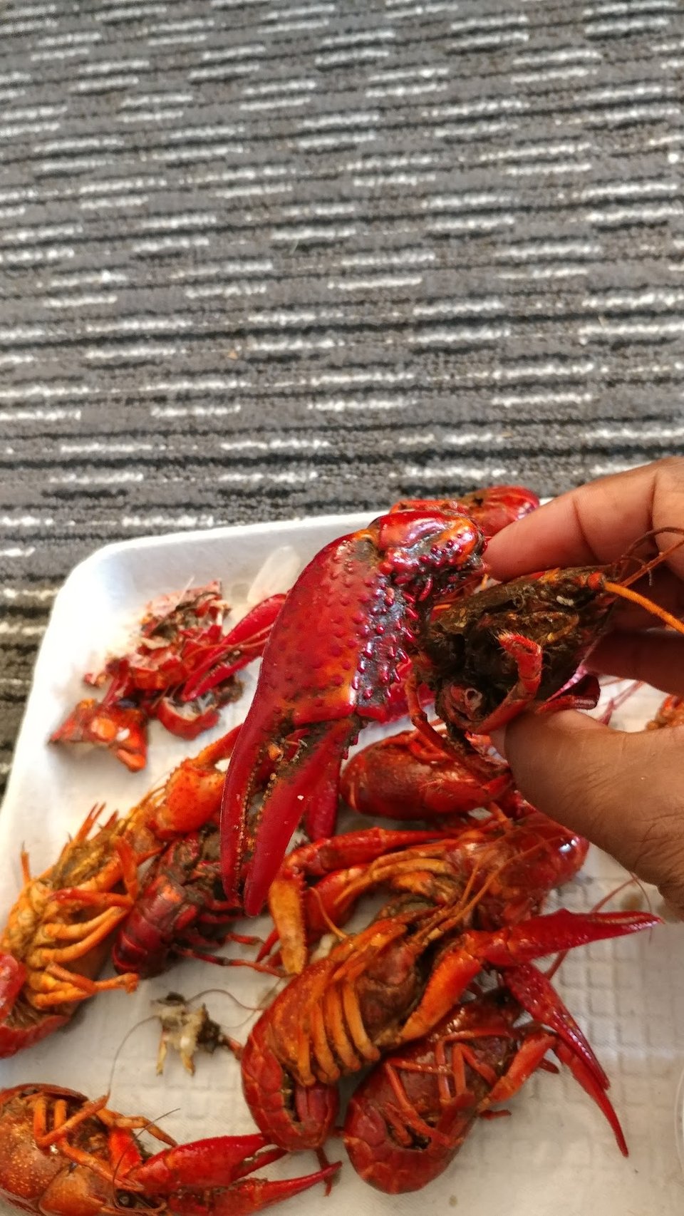 Crayfish